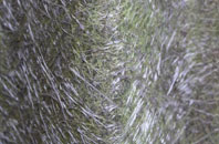 Hoo End fibreglass roof work